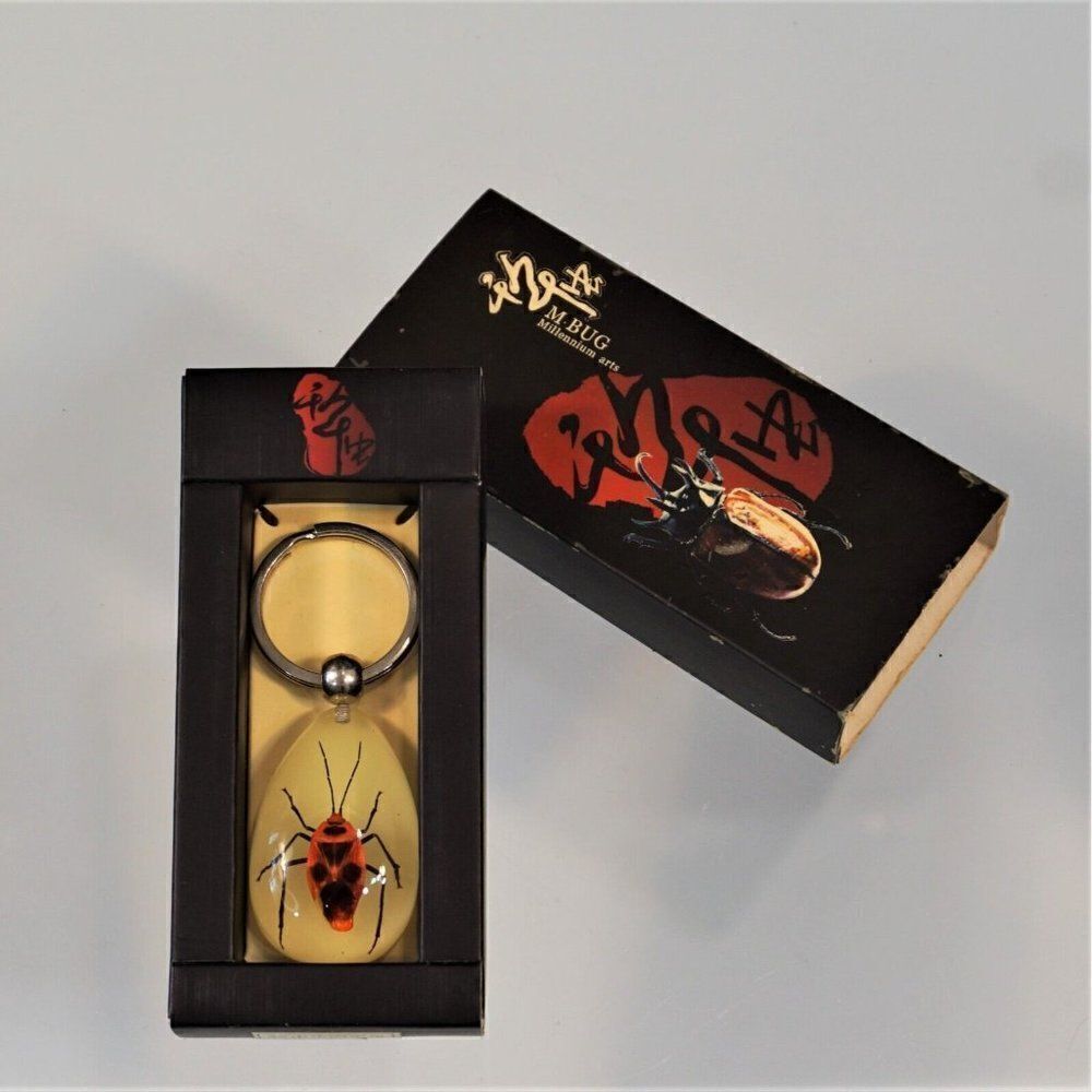 Bug Insect Keychain Nanning Millennium Arts M Real Bug See Through Key Ring